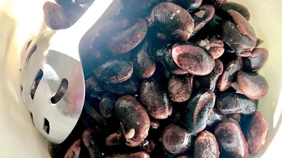 Hiking route Backbone: St. Anna-Tieschen - On the tracks of volcanoes (Rückgrat: St. Anna-Tieschen - On the tracks of volcanoes - Touren-Impression #2.3 | © TV Thermen- & Vulkanland