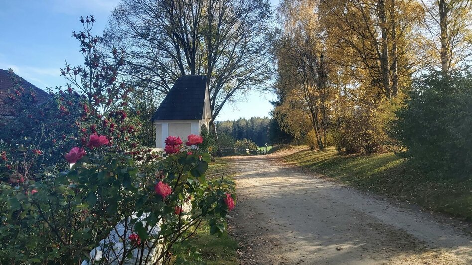 Bike Riding FamilyBike-Wadlzwicker loop, Wenigzell - Touren-Impression #2.1 | © Oststeiermark Tourismus