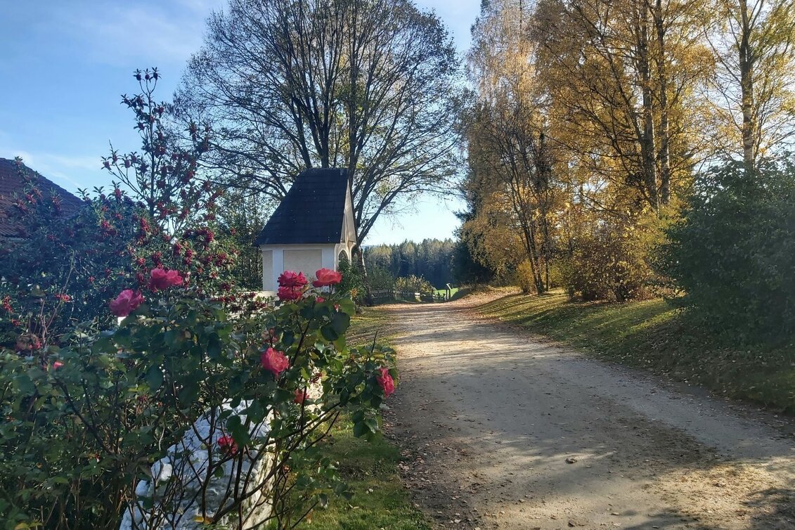 Bike Riding FamilyBike-Wadlzwicker loop, Wenigzell - Touren-Impression #1 | © Oststeiermark Tourismus