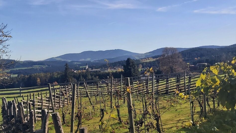 Bike Riding FamilyBike-Wadlzwicker loop, Wenigzell - Touren-Impression #2.8 | © Oststeiermark Tourismus