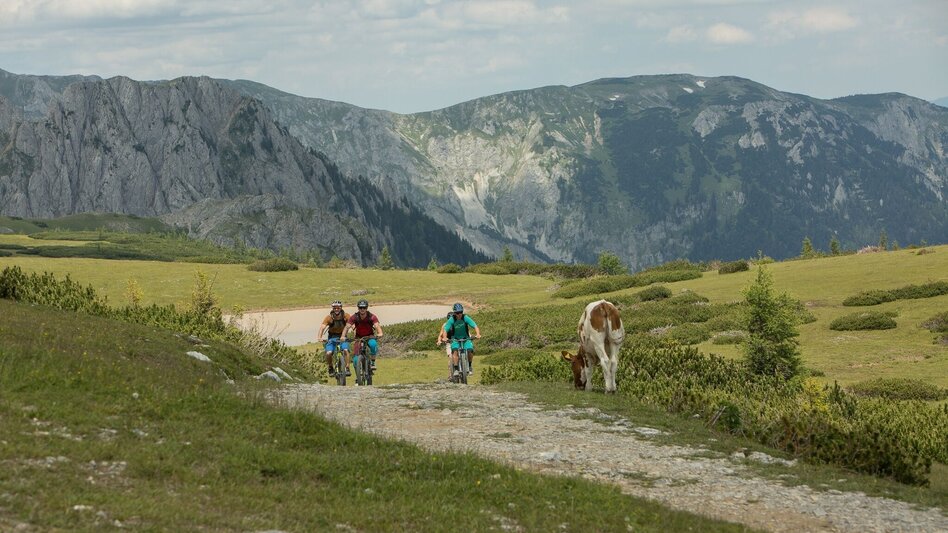 Mountainbike Windgruben - Trail - Touren-Impression #2.1 | © Naturerlebnis Bürgeralm