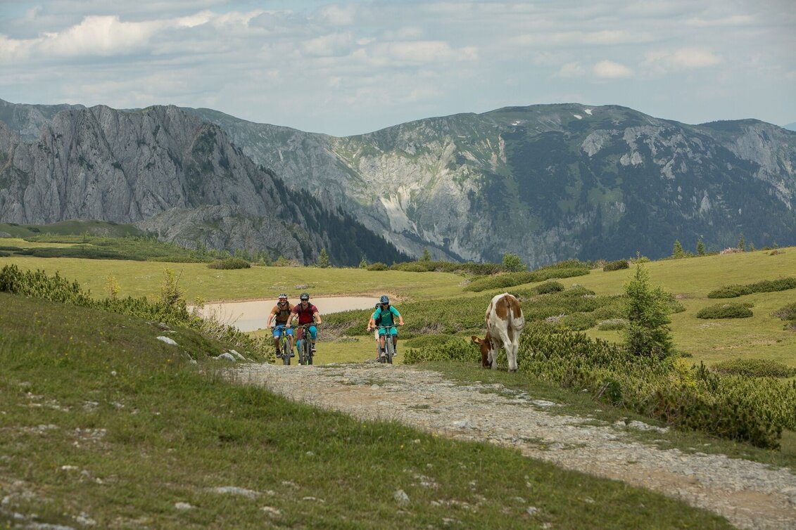 Mountainbike Windgruben - Trail - Touren-Impression #1 | © Naturerlebnis Bürgeralm