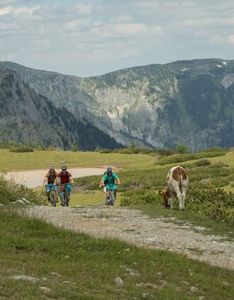 Auffahrt zum Trailstart beim Schönleitenhaus | Klaus Morgenstern | © Naturerlebnis Bürgeralm
