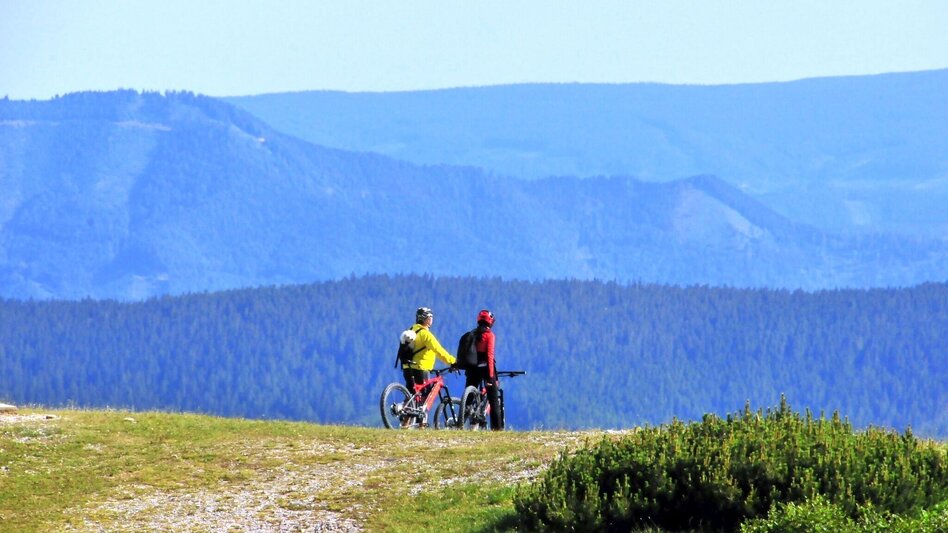 Bike Riding E-Bike Tour to Schneealm - Cheese Dairy - Touren-Impression #2.2 | © Naturpark Mürzer Oberland
