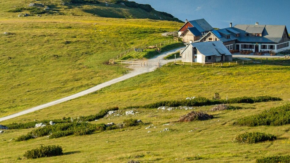 Bike Riding E-Bike Tour to Schneealm - Cheese Dairy - Touren-Impression #2.6 | © Naturpark Mürzer Oberland