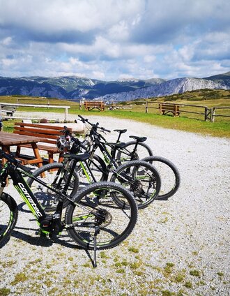 Mit dem E-Bike bei der Lurgbauerhütte angekommen | Andreas Steininger | © Naturpark Mürzer Oberland