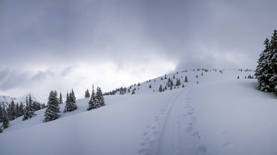 Skitour Skitour auf das Hahnalpl - Touren-Impression #2.2 | © Erlebnisregion Schladming-Dachstein