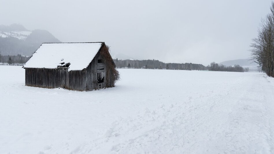 Winterwandern Enns- und Moosweg Wörschach - Touren-Impression #2.2 | © Erlebnisregion Schladming-Dachstein