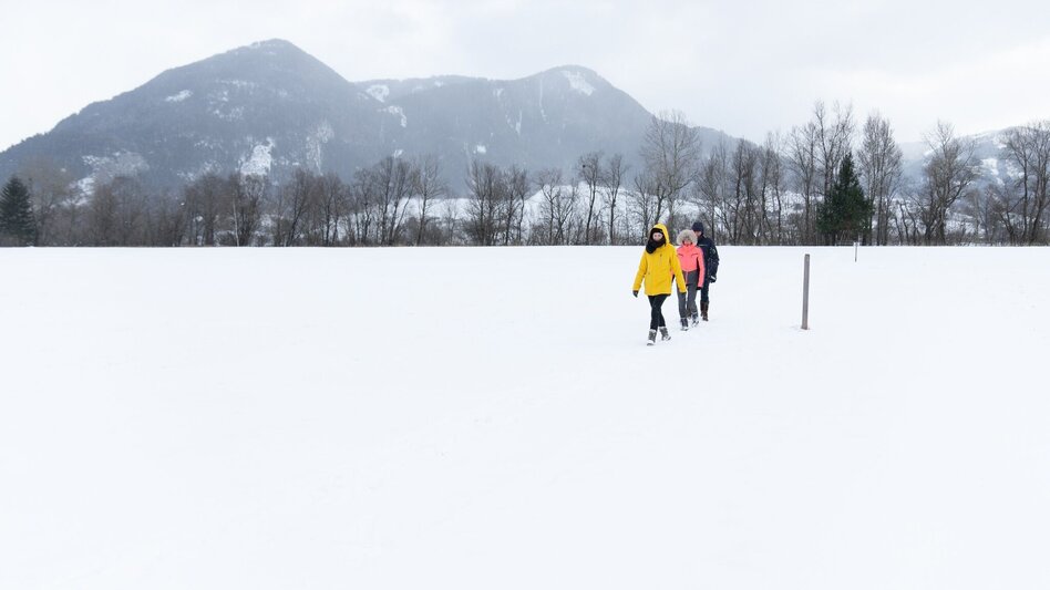 Winterwandern Enns- und Moosweg Wörschach - Touren-Impression #2.3 | © Erlebnisregion Schladming-Dachstein