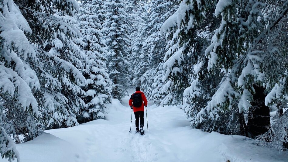 Schneeschuh Schneeschuhwanderung im Schönmoos - Touren-Impression #2.1 | © Erlebnisregion Schladming-Dachstein