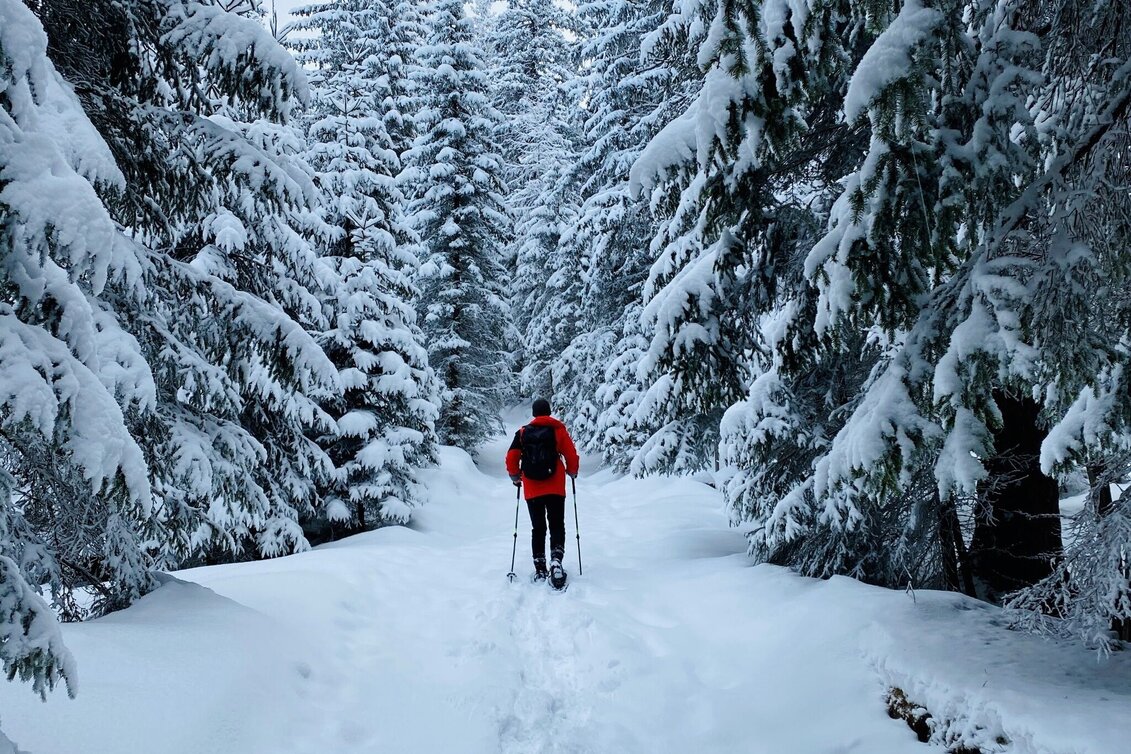 Schneeschuh Schneeschuhwanderung im Schönmoos - Touren-Impression #1 | © Erlebnisregion Schladming-Dachstein