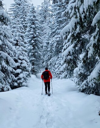 schneeschuhwanderung im schönmoos_img_55441622 | Christoph Lukas | © Erlebnisregion Schladming-Dachstein
