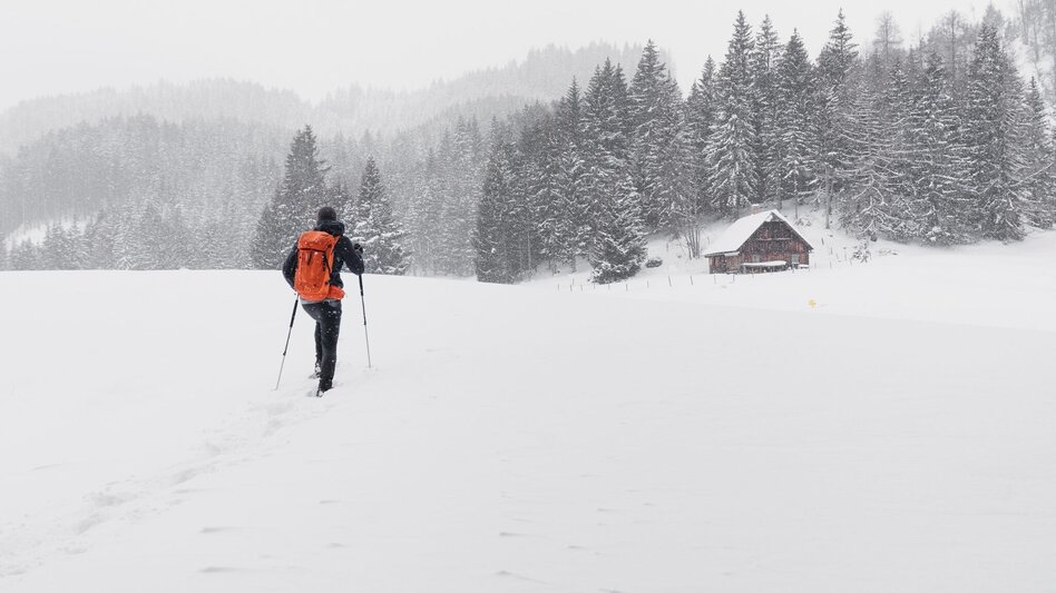 Snowshoe walking Snowshoe hiking tour Aicherlkar - Touren-Impression #2.1 | © Erlebnisregion Schladming-Dachstein