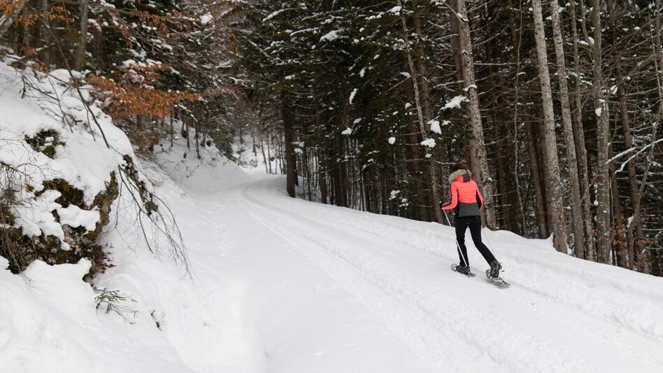 Snowshoe walking Snowshoe hiking tour Aicherlkar - Touren-Impression #2.2 | © Erlebnisregion Schladming-Dachstein