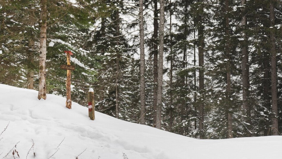 Snowshoe walking Snowshoe hiking tour Aicherlkar - Touren-Impression #2.3 | © Erlebnisregion Schladming-Dachstein