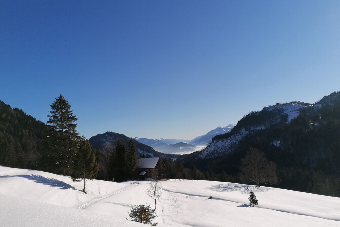 Snowshoe walking Snowshoe hiking tour Bärenfeichtenalm - Touren-Impression #1 | © Erlebnisregion Schladming-Dachstein