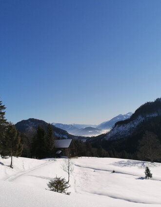Ausgangspunkt Wörschachwald | Barbara Luidold | © Erlebnisregion Schladming-Dachstein