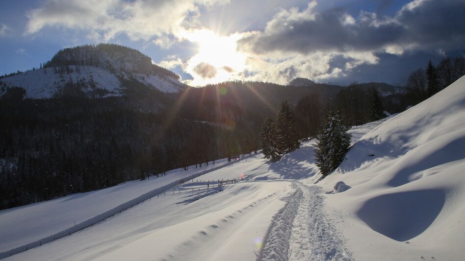 Snowshoe walking Snowshoe hiking tour Bärenfeichtenalm - Touren-Impression #2.4 | © Tourismusverband Grimming-Donnersbachtal