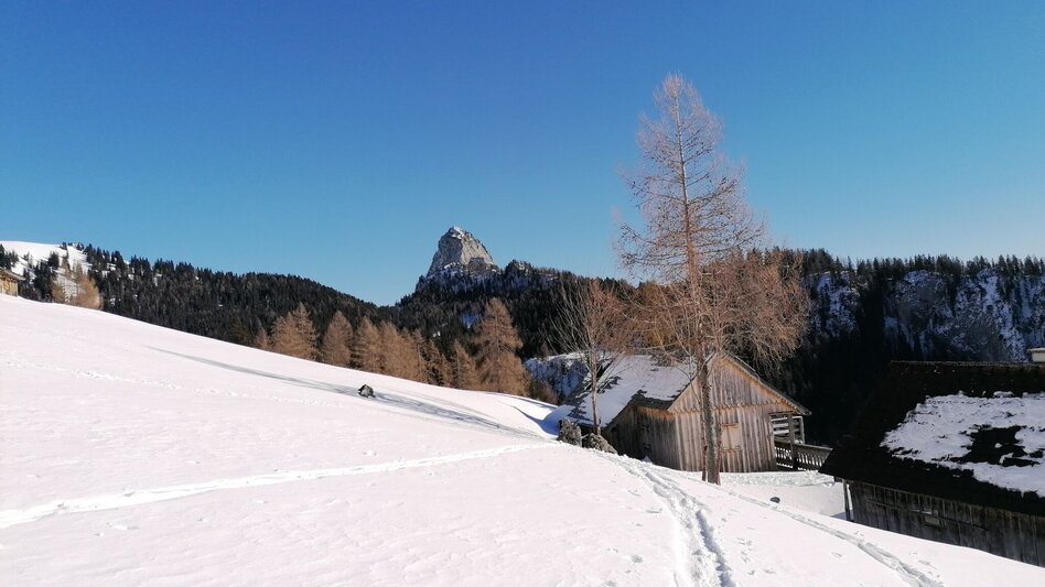 Skitour Skitour zur Bärenfeichtenalm - Touren-Impression #2.1 | © Erlebnisregion Schladming-Dachstein