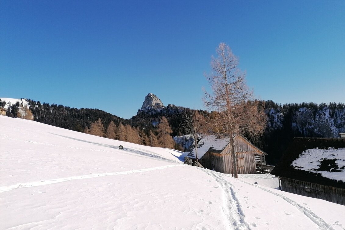 Skitour Skitour zur Bärenfeichtenalm - Touren-Impression #1 | © Erlebnisregion Schladming-Dachstein