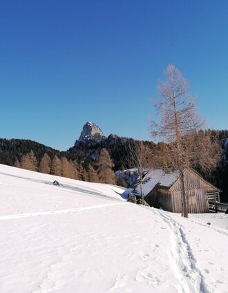 Bärenfeichtenalm mit Blick zum Hochtausing | Barbara Luidold | © Erlebnisregion Schladming-Dachstein