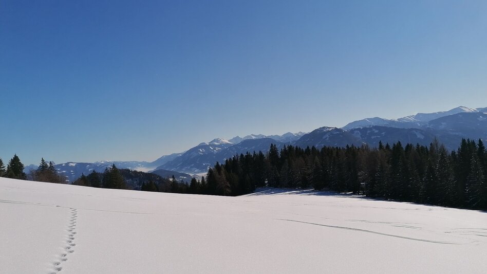 Skitour Skitour zur Bärenfeichtenalm - Touren-Impression #2.7 | © Erlebnisregion Schladming-Dachstein