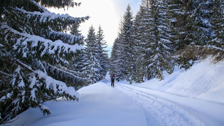 Skitour Skitour zur Bärenfeichtenalm - Touren-Impression #2.6 | © Erlebnisregion Schladming-Dachstein