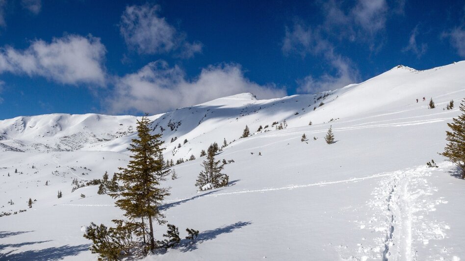 Ski Touring Hintergullingspitz - Touren-Impression #2.6 | © Erlebnisregion Schladming-Dachstein