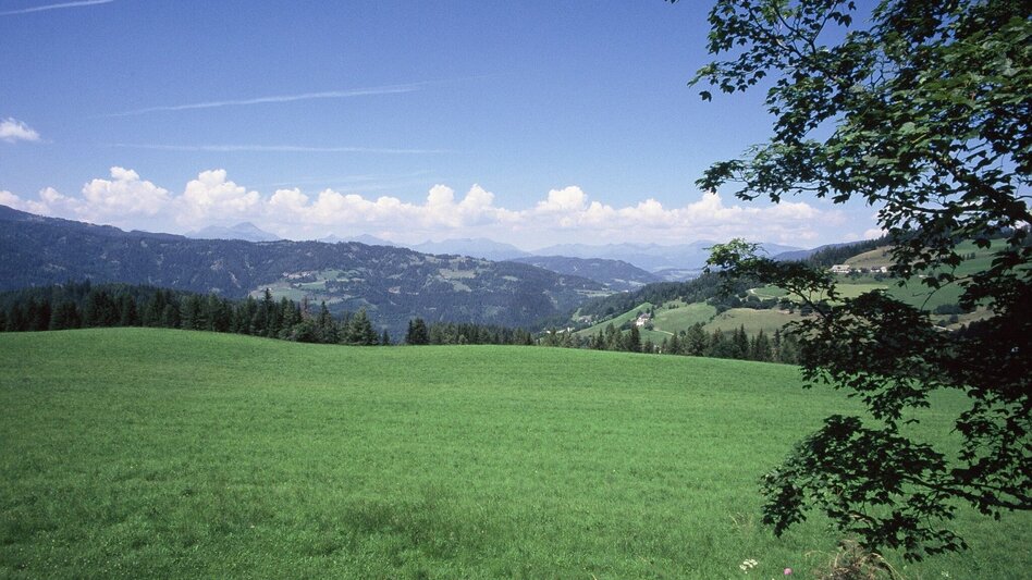 Hiking route Wölzer-Tauern-Blick round - Touren-Impression #2.1 | © Tourismusverband Murau