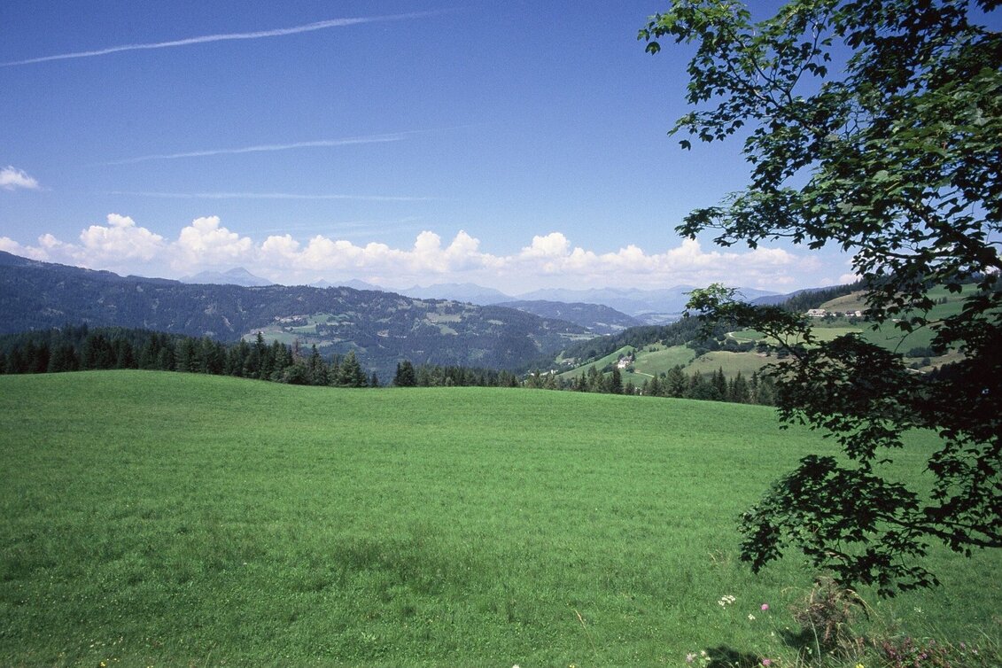 Hiking route Wölzer-Tauern-Blick round - Touren-Impression #1 | © Tourismusverband Murau