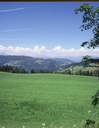 Wölzer Tauern Blick | Stefan Moser | © Tourismusverband Murau