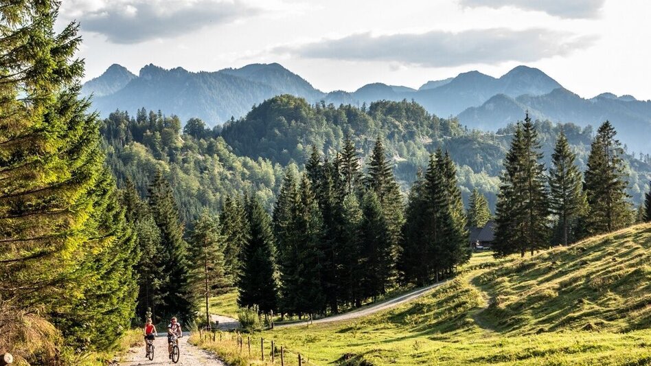 Mountain Biking Wildalpen-Krumpenrunde - Touren-Impression #2.1 | © TV Gesäuse