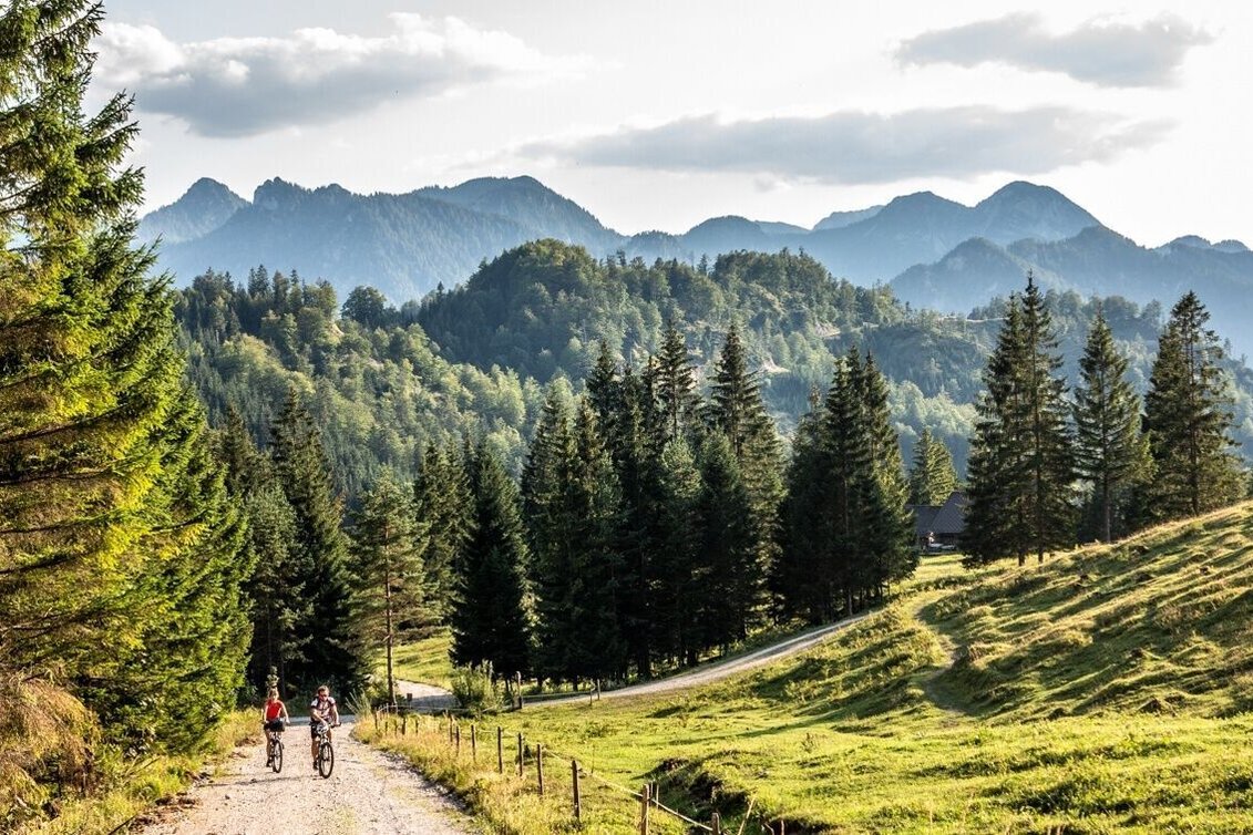Mountain Biking Wildalpen-Krumpenrunde - Touren-Impression #1 | © TV Gesäuse
