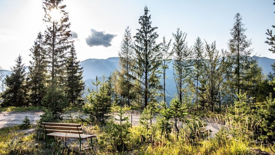 Mountain Biking Wildalpen-Krumpenrunde - Touren-Impression #2.8 | © TV Gesäuse