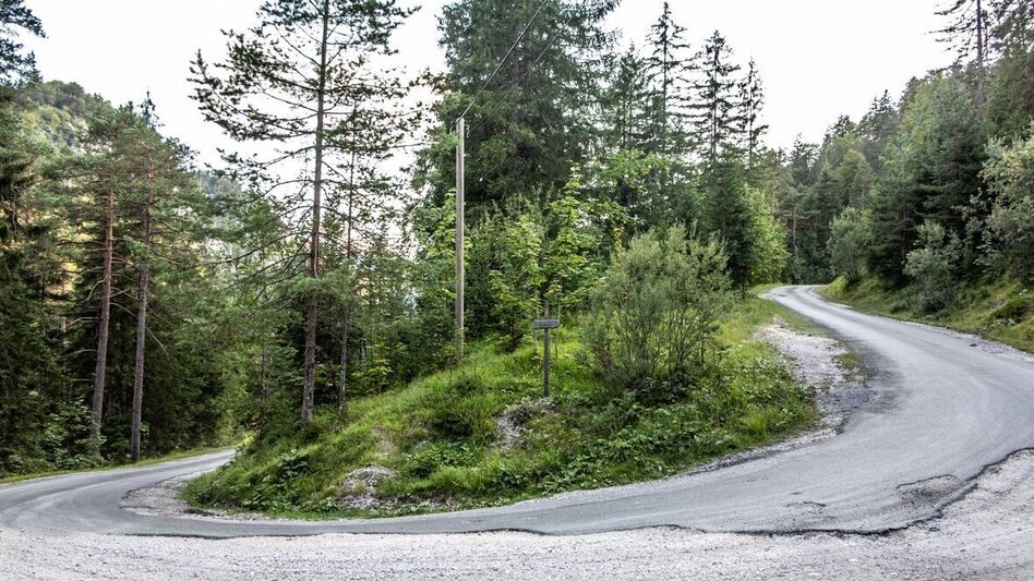 Mountain Biking Wildalpen-Krumpenrunde - Touren-Impression #2.10 | © TV Gesäuse