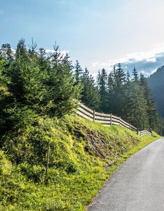 am Weg nach Hopfgarten | Christian Scheucher | © TV Gesäuse