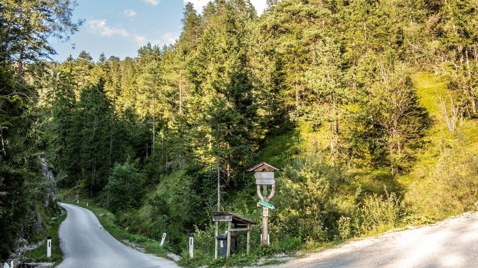 Bike Riding Wildalpen-Hühnermauer - Touren-Impression #2.2 | © TV Gesäuse