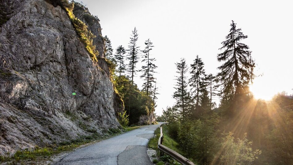 Bike Riding Wildalpen-Hühnermauer - Touren-Impression #2.4 | © TV Gesäuse