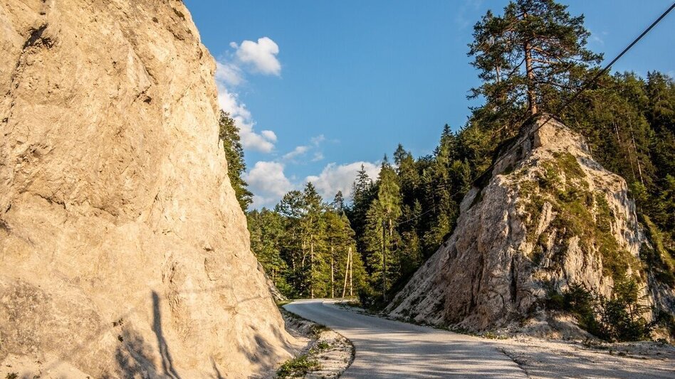 Bike Riding Wildalpen-Hühnermauer - Touren-Impression #2.5 | © TV Gesäuse