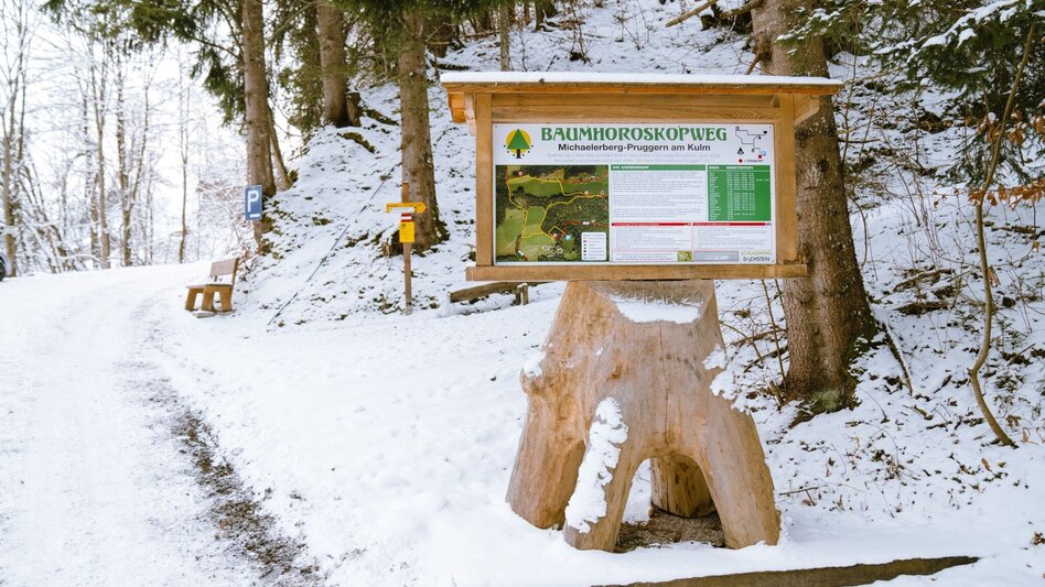 Winter Hiking Winter hike tree horoscope trail (Baumhorosokopweg) - Touren-Impression #2.1 | © Erlebnisregion Schladming-Dachstein