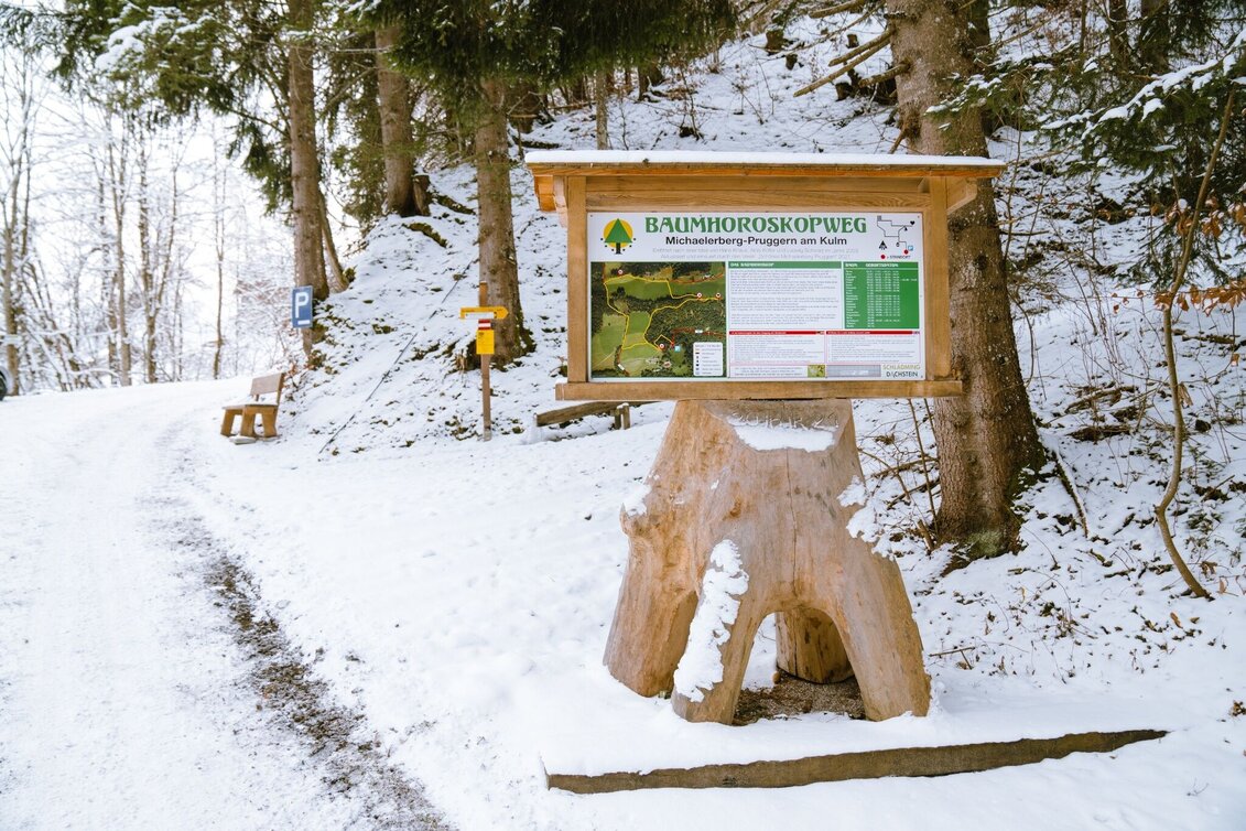 Winter Hiking Winter hike tree horoscope trail (Baumhorosokopweg) - Touren-Impression #1 | © Erlebnisregion Schladming-Dachstein