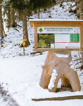 Startplatz Baumhoroskopweg | Christoph Lukas | © Erlebnisregion Schladming-Dachstein