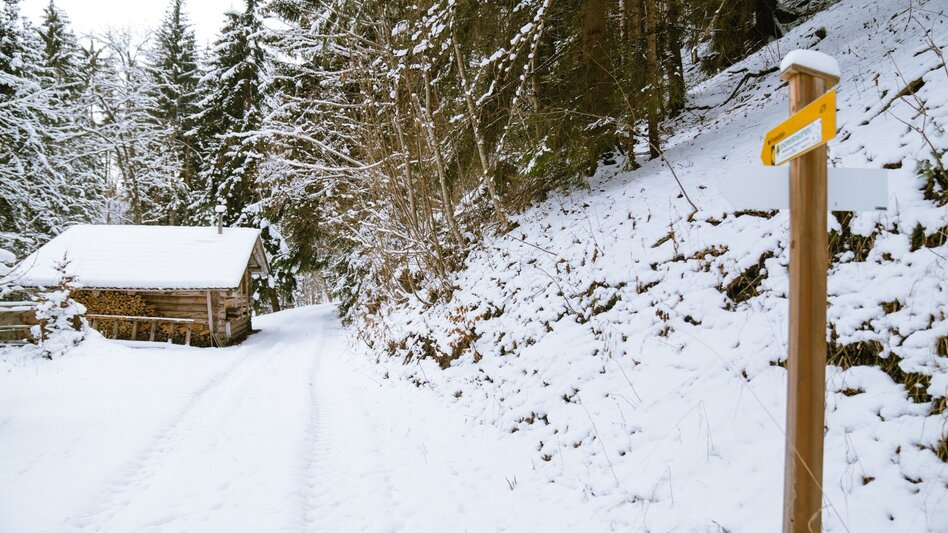 Winter Hiking Winter hike tree horoscope trail (Baumhorosokopweg) - Touren-Impression #2.2 | © Erlebnisregion Schladming-Dachstein