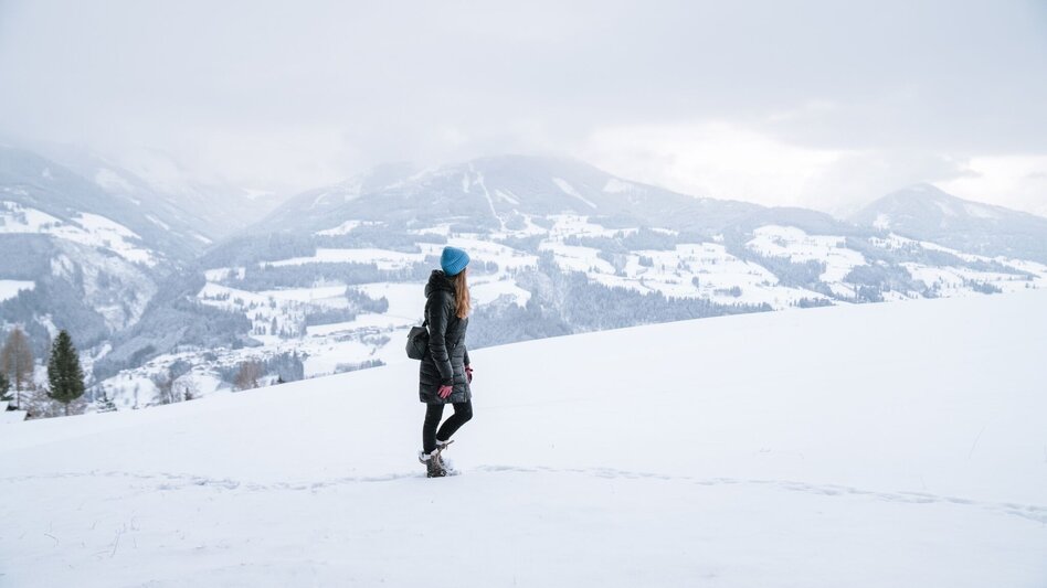 Winter Hiking Winter hike tree horoscope trail (Baumhorosokopweg) - Touren-Impression #2.6 | © Erlebnisregion Schladming-Dachstein