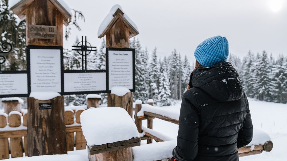 Winter Hiking Winter hike tree horoscope trail (Baumhorosokopweg) - Touren-Impression #2.8 | © Erlebnisregion Schladming-Dachstein