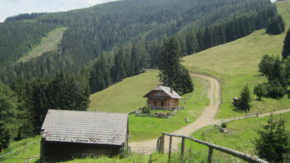 Mountainbike LE01 MTB Mugelrunde - Touren-Impression #2.1 | © TV Leoben