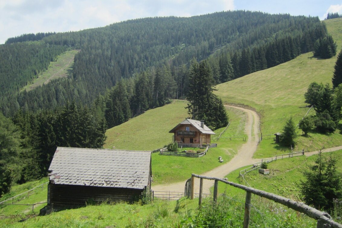 Mountainbike LE01 MTB Mugelrunde - Touren-Impression #1 | © TV Leoben