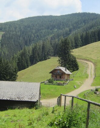 mtb mugelrunde le 1_img_33119864 | TV Leoben | © TV Leoben