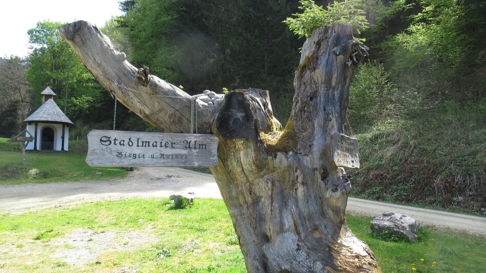Mountainbike LE01 MTB Mugelrunde - Touren-Impression #2.7 | © Tourismusverband ERZBERG LEOBEN