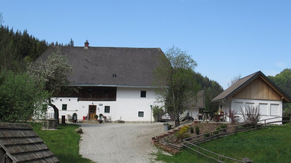 Mountainbike LE01 MTB Mugelrunde - Touren-Impression #2.8 | © Tourismusverband ERZBERG LEOBEN